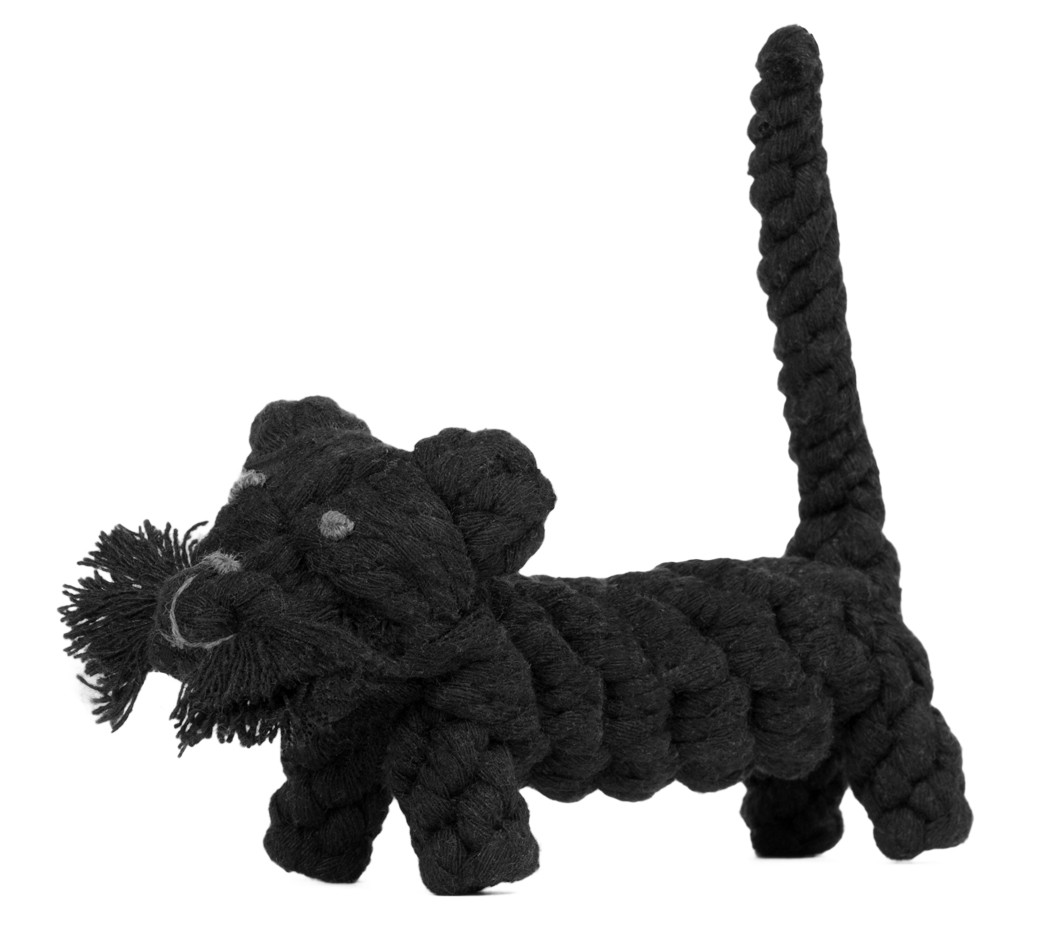 Kater Casanova - Kultspielzeug für Hunde von Laboni Kater Casanova - Kultspielzeug für Hunde von Laboni