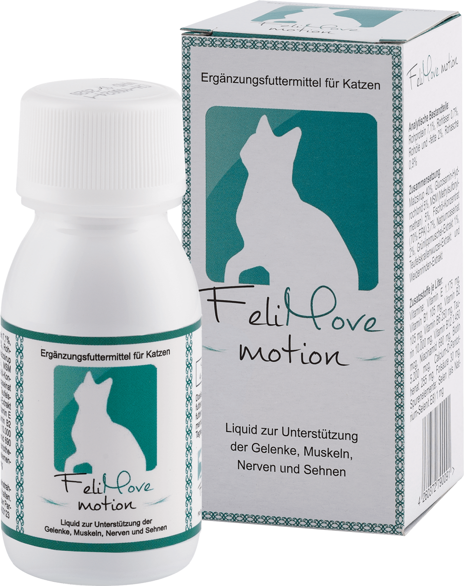 FeliMove motion FeliMove motion