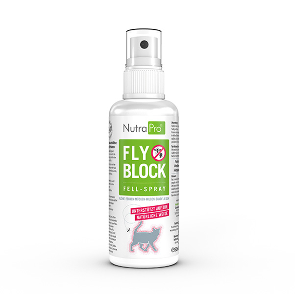 Fly Block Katze Fly Block Katze