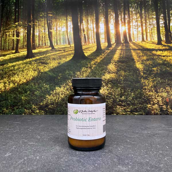 Probiotic Entero NEU - Dr. Jutta Ziegler Probiotic Entero NEU - Dr. Jutta Ziegler