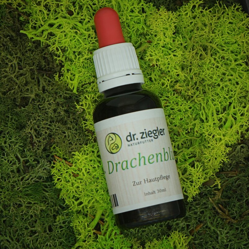 Drachenblut Tinktur - Dr. Jutta Ziegler Drachenblut Tinktur - Dr. Jutta Ziegler