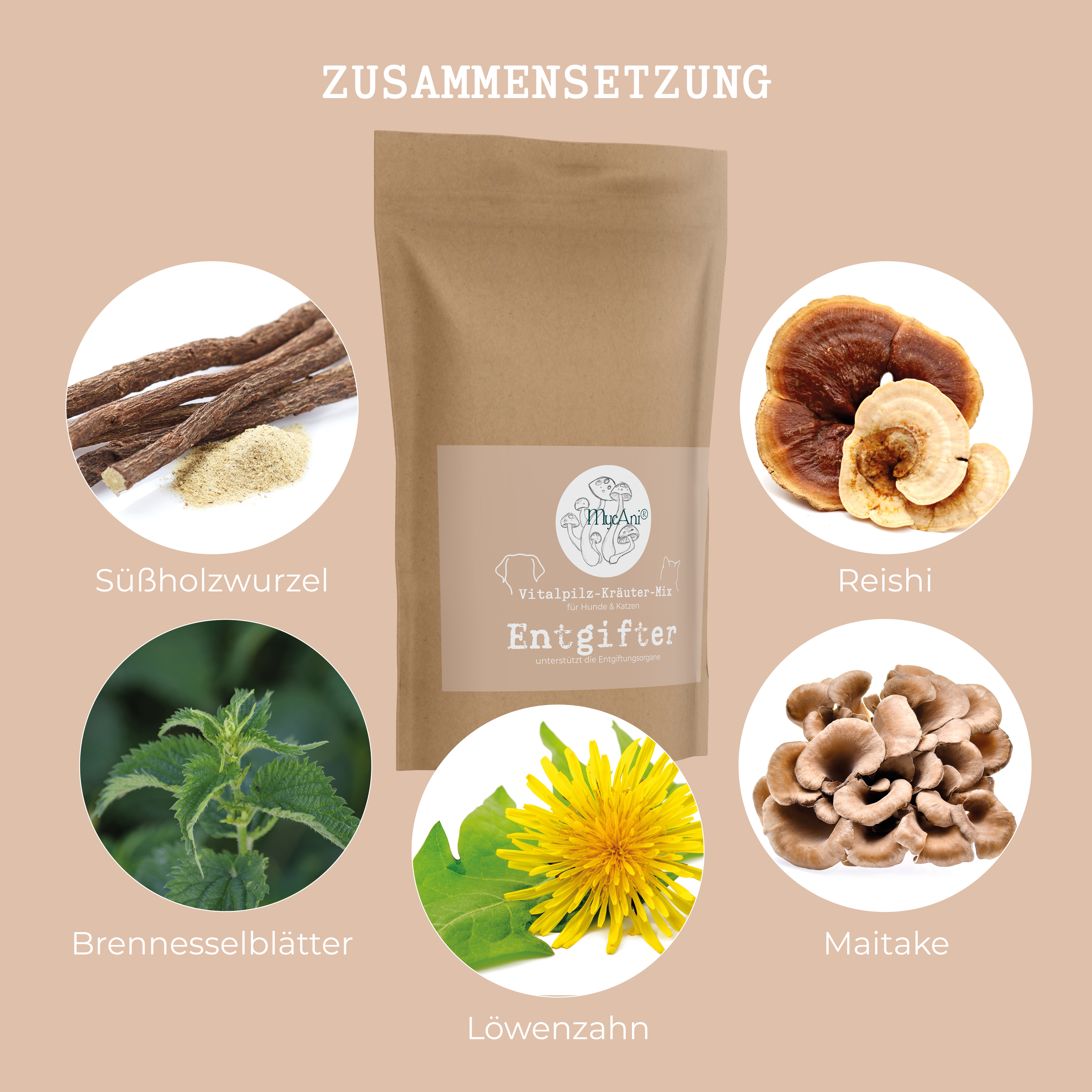 Vitalpilzmischung "Entgifter" Vitalpilzmischung "Entgifter"