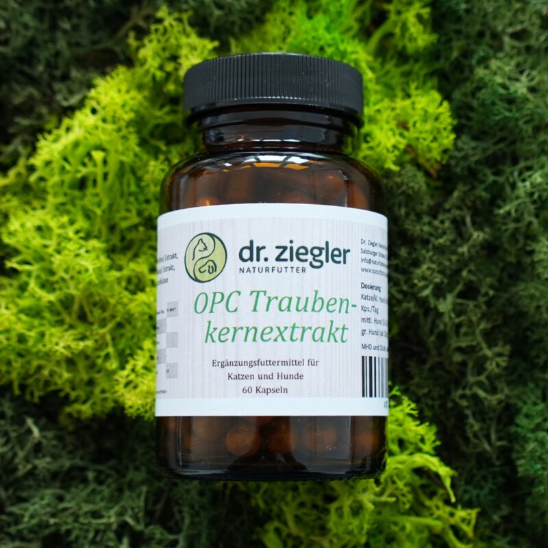 OPC Traubenkern Extrakt - Dr. Jutta Ziegler OPC Traubenkern Extrakt - Dr. Jutta Ziegler