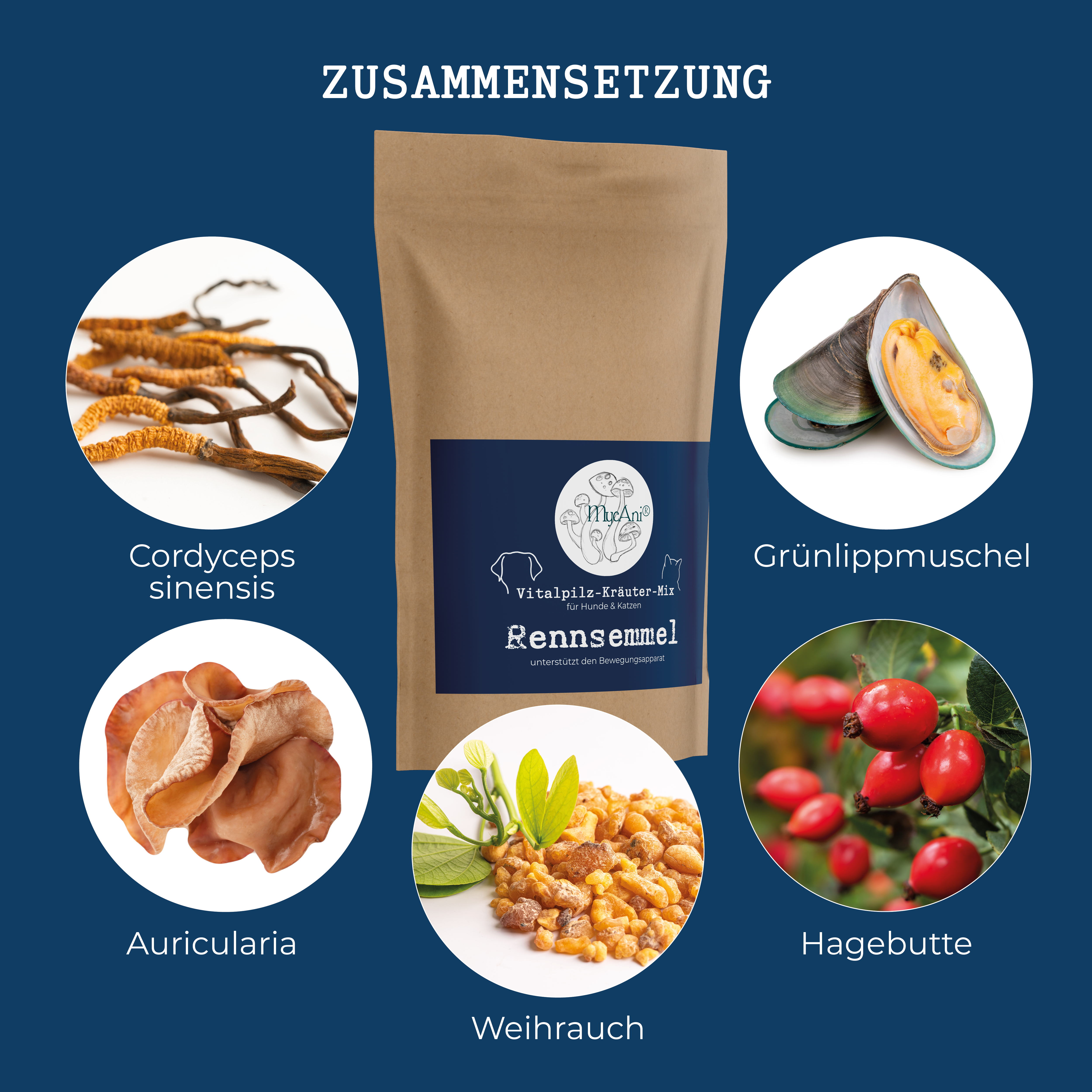 Vitalpilzmischung "Rennsemmel" Vitalpilzmischung "Rennsemmel"