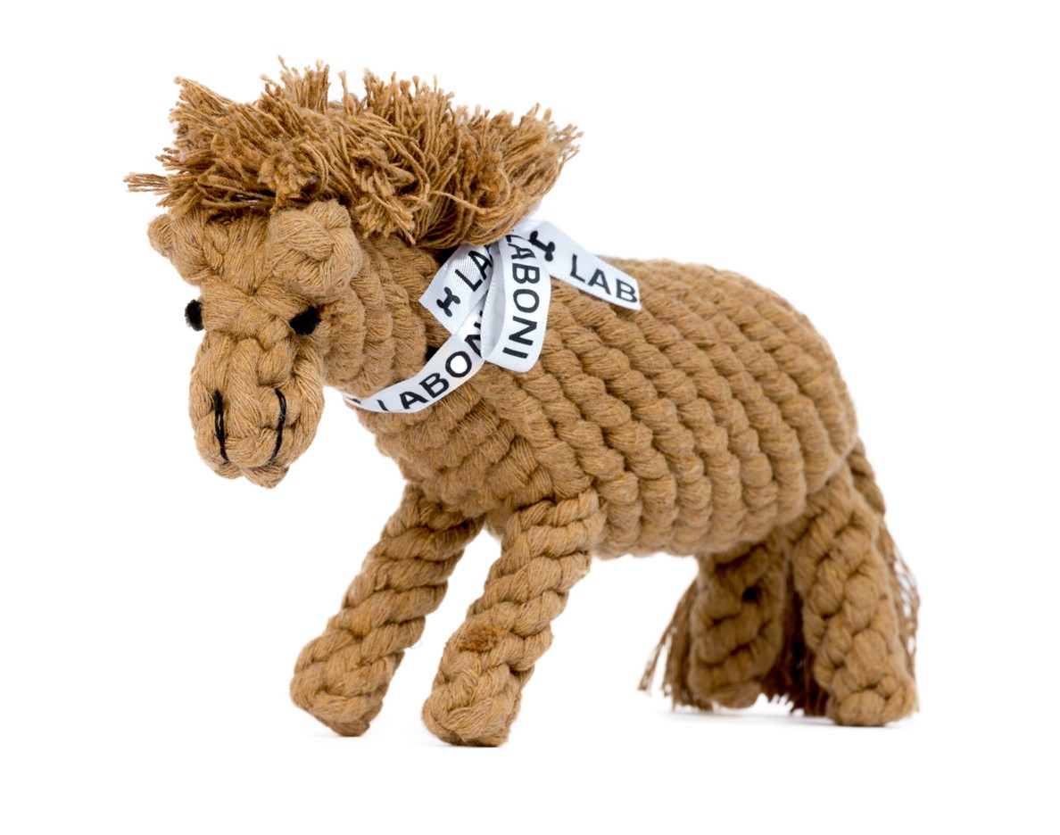 Franz Pferdinand - Kultspielzeug für Hunde von Laboni Franz Pferdinand - Kultspielzeug für Hunde von Laboni
